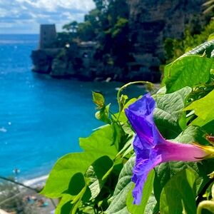 Meet your Posher, Kerrie